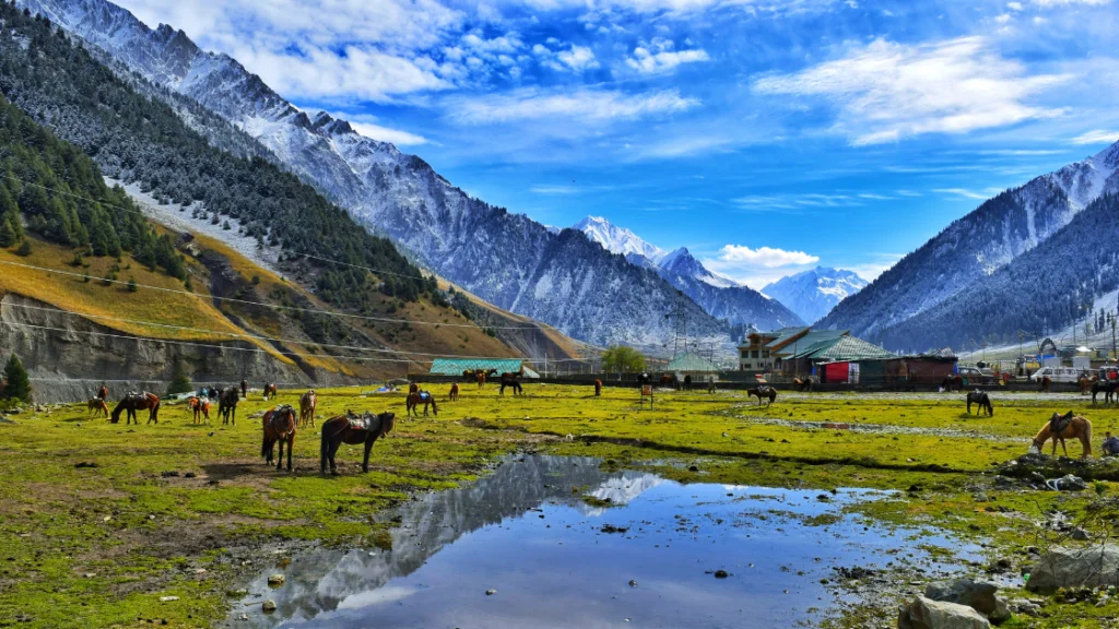 Amritsar to dalhousie taxi Service ,Amritsar to Dharamshala Cab service 